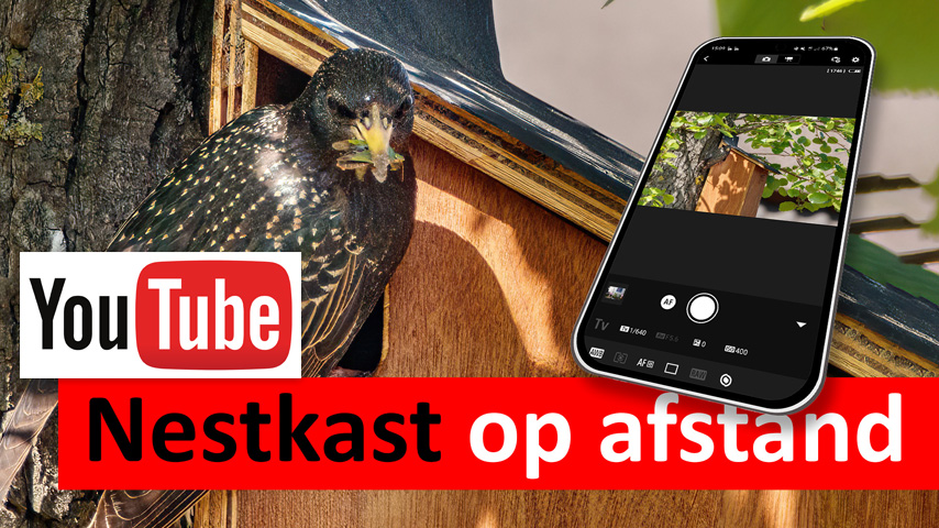 yt-nestkastje-visual