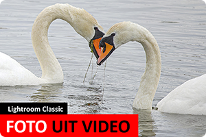 00_foto uit video.png