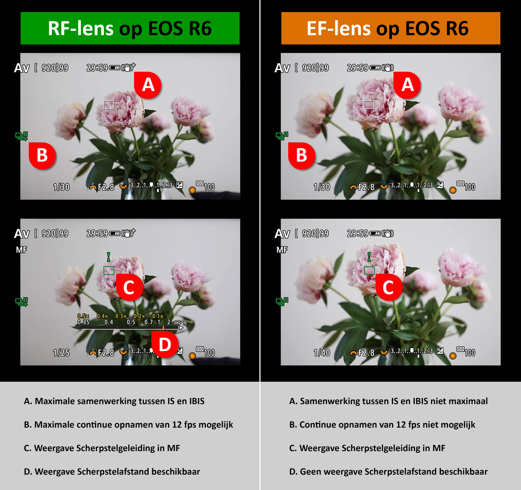 verschillen ef en rf