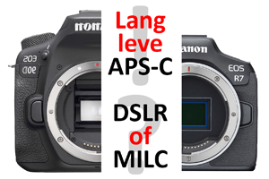 00_apsc-dslr_ff-milc-2022.png