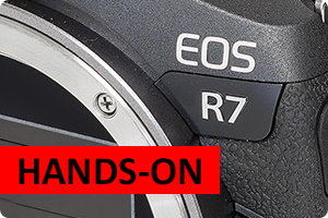 00_EOS R7.png