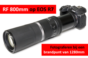 00_RF800-R7.png