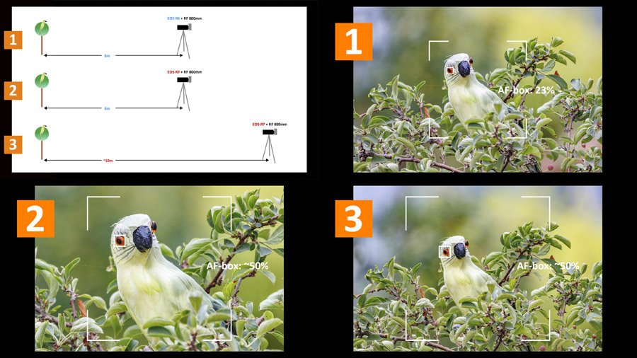 RF800mm-AF-box-klein