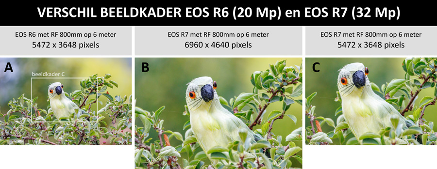 R6-R7-800mm beeldkader-klein