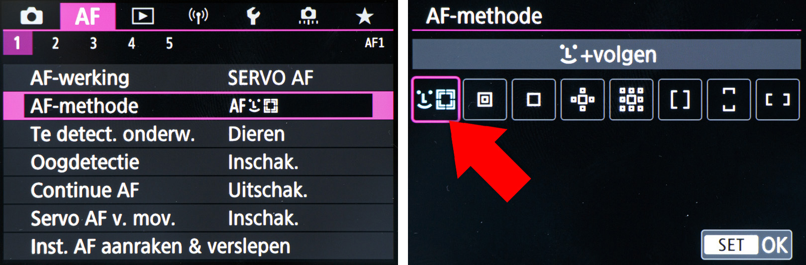 AF-EOS R6