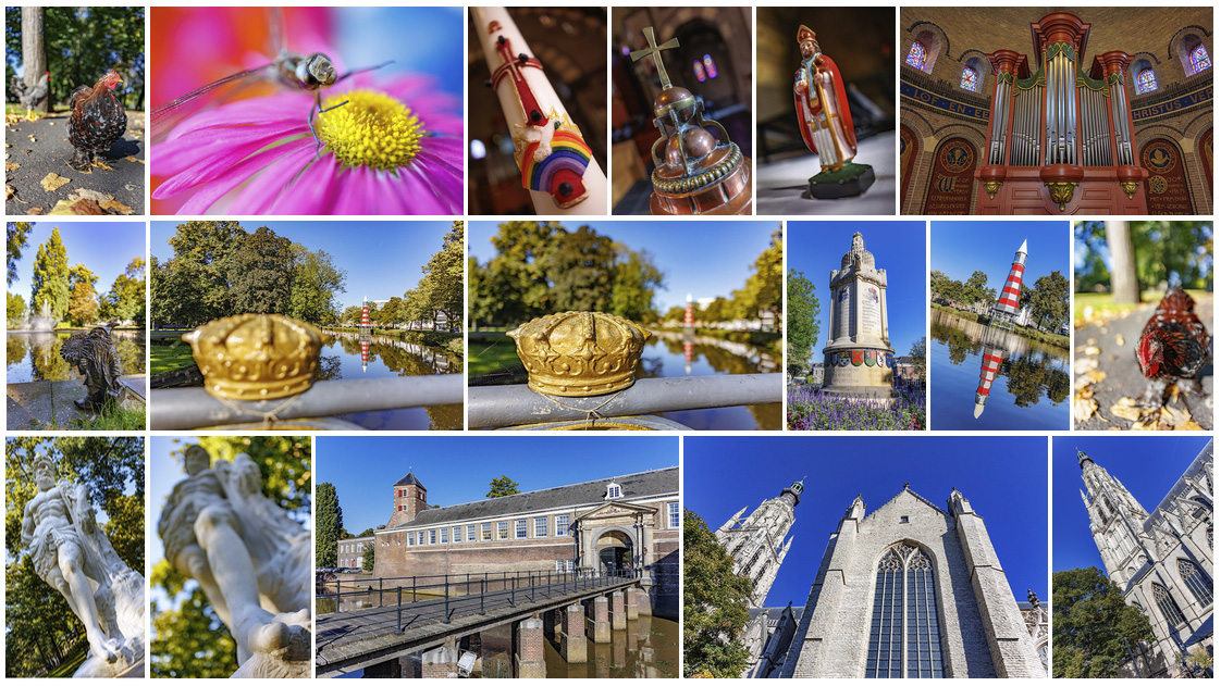 Voorbeeldfoto's RF 24mm