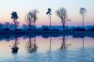 Johan van de Watering