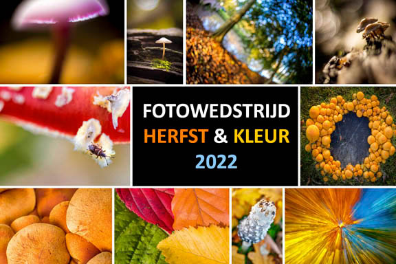 Fotowedstrijd herfst nieuwsbrief