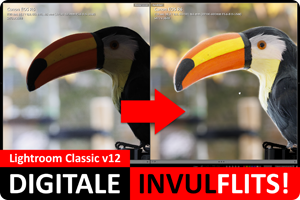 00_Digitale invulflits.png