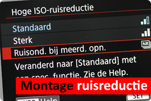 00_visual ruismontage.png