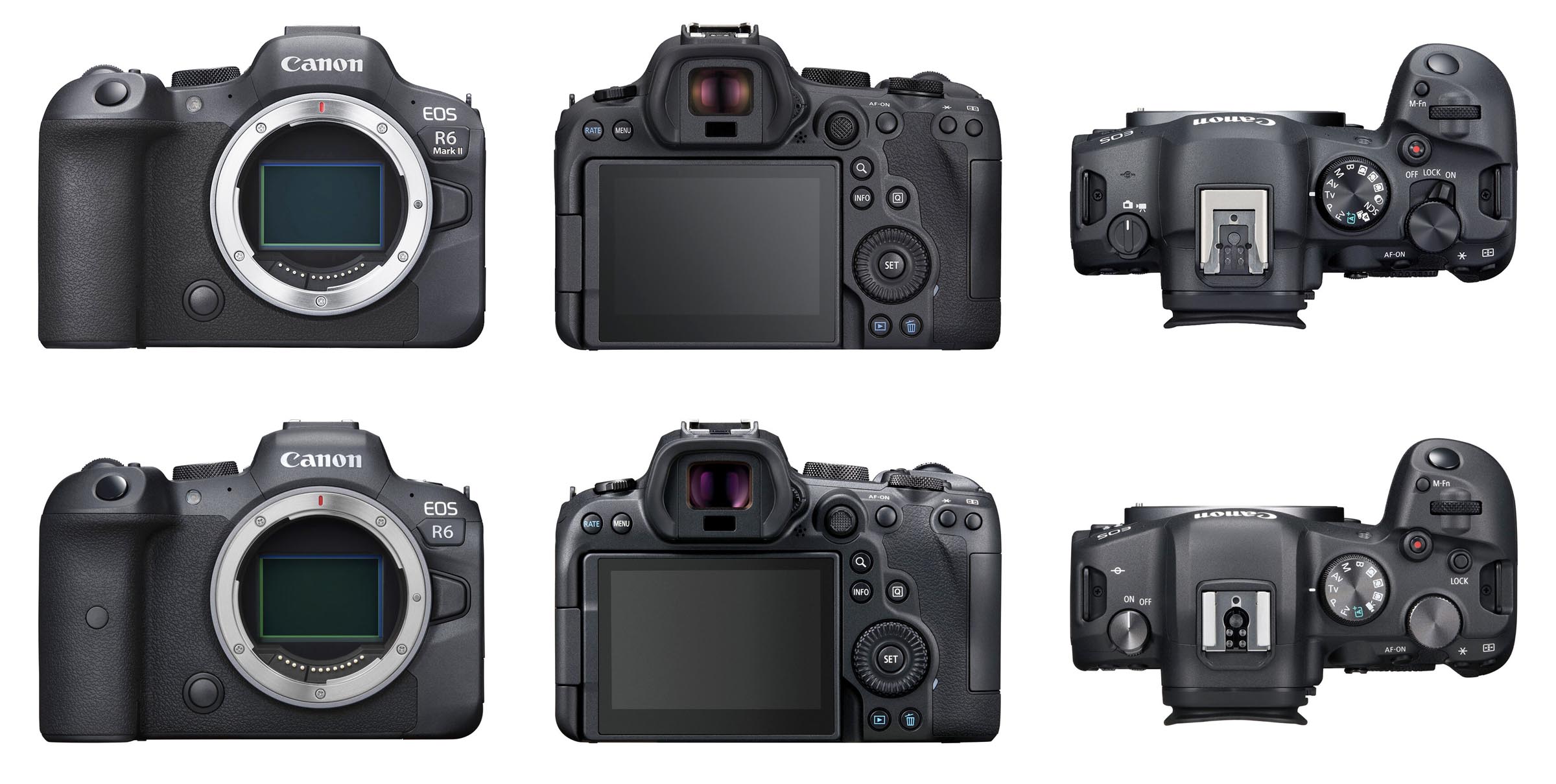 EOS R6II-R6