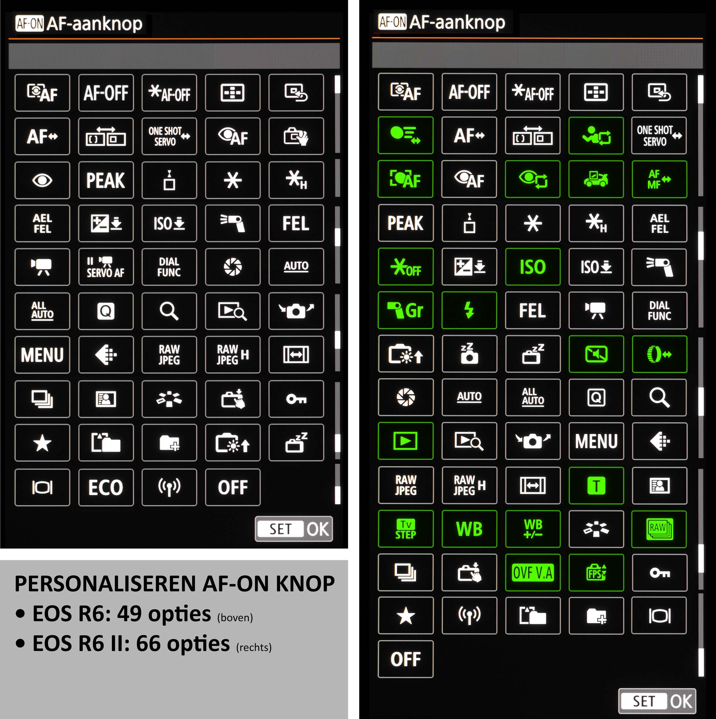Knoppen EOS R6 vs R6 II