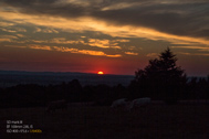 5D3_8761-189px