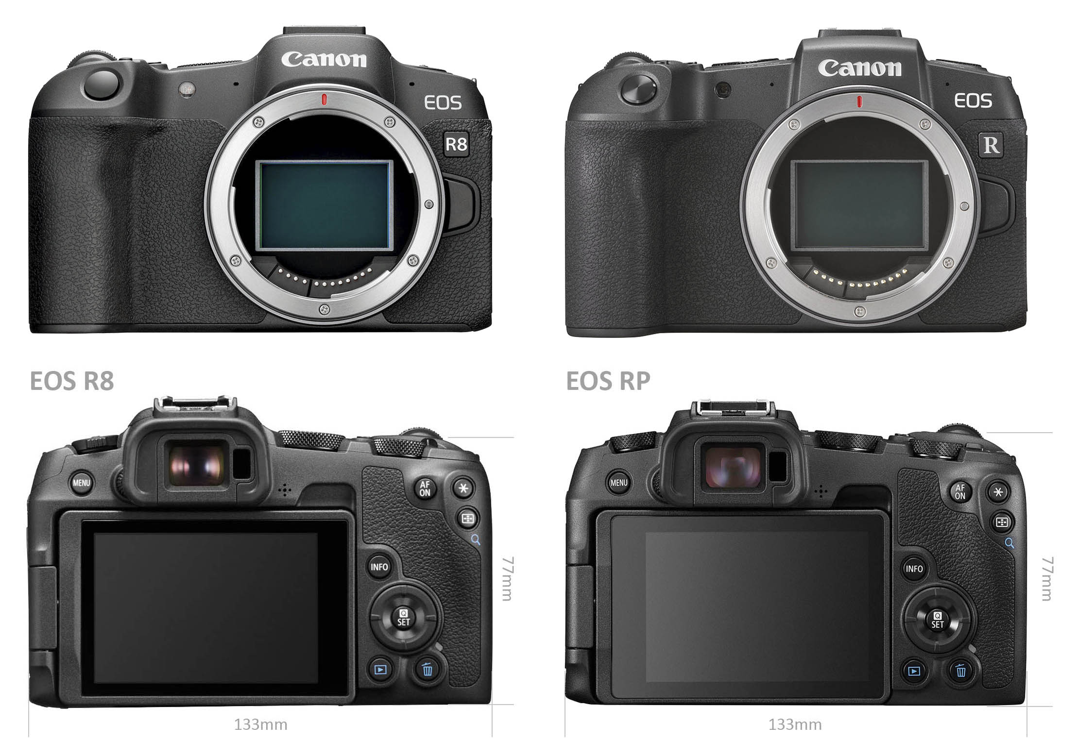 EOS R8-RP-front-back