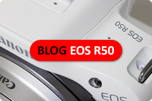 Blog Pieter | Canon EOS R50