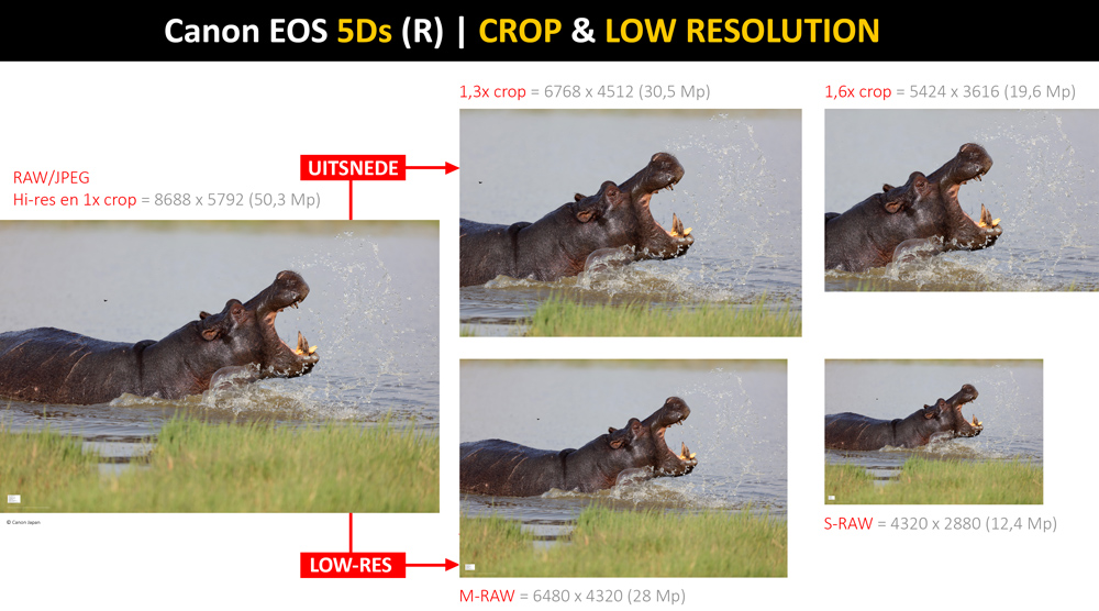 EOS5Ds_lores-crop-580px