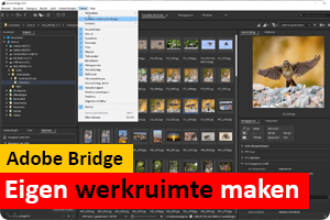 00_adobe bridge werkruimte.png