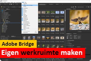 Adobe Bridge | Kennismaking | Werkruimte maken