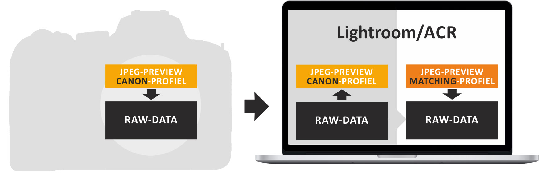 RAW-profiel_LrC02