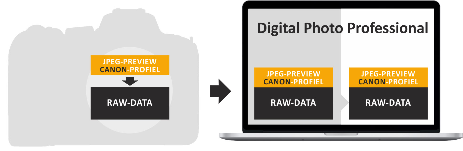 RAW-profiel_DPP