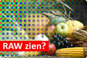 00_RAW-zien.png