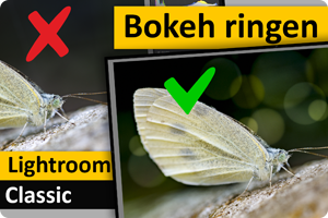 00_LrC Bokehring.png
