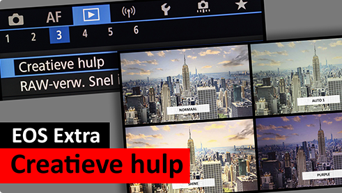 Creatieve hulp of...