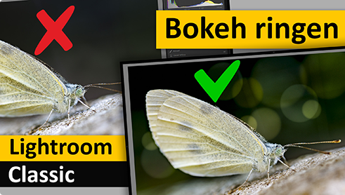 Bokeh-ringen?