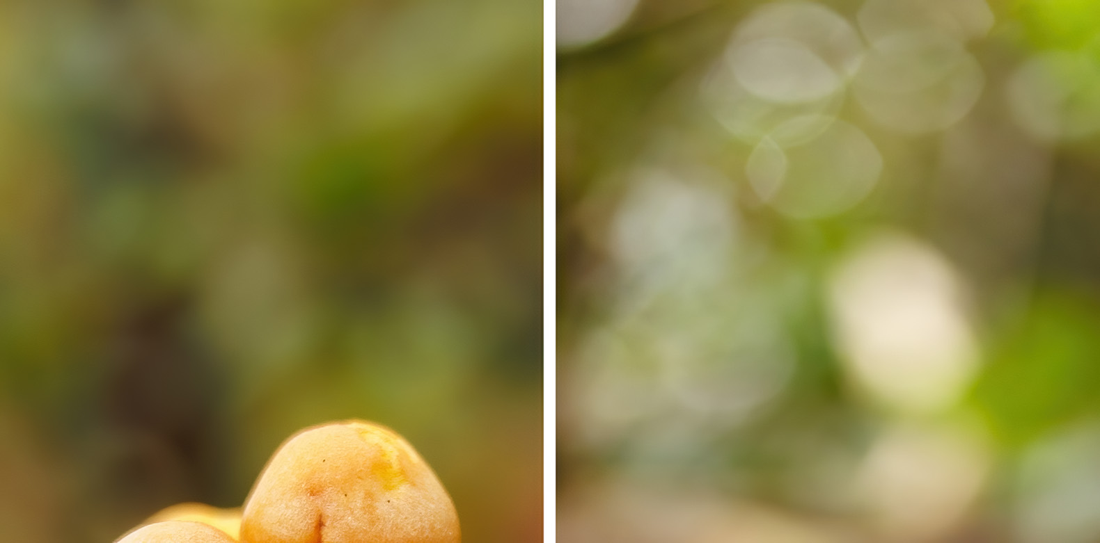 bokeh