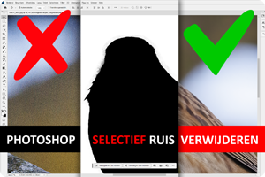 PS Selectief ruis reduceren visualv2.png