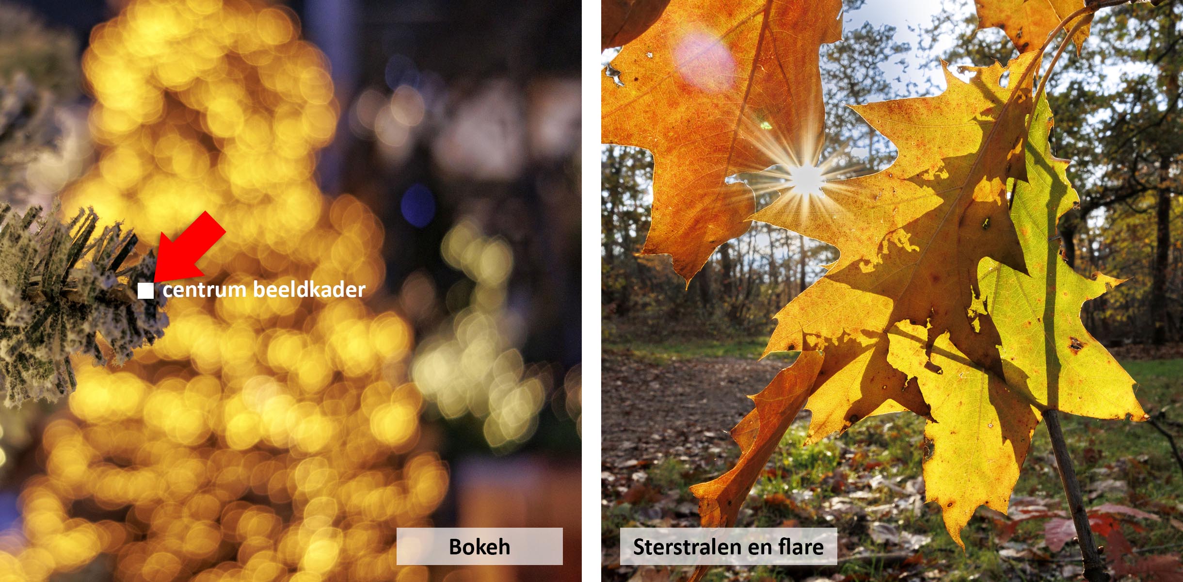 bokeh-sterstralen