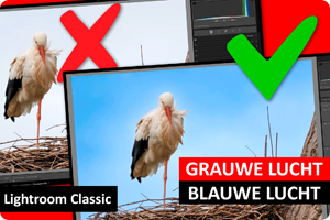00_lrc grauw blauw.png