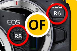 00_eos r8 of eos r6.png