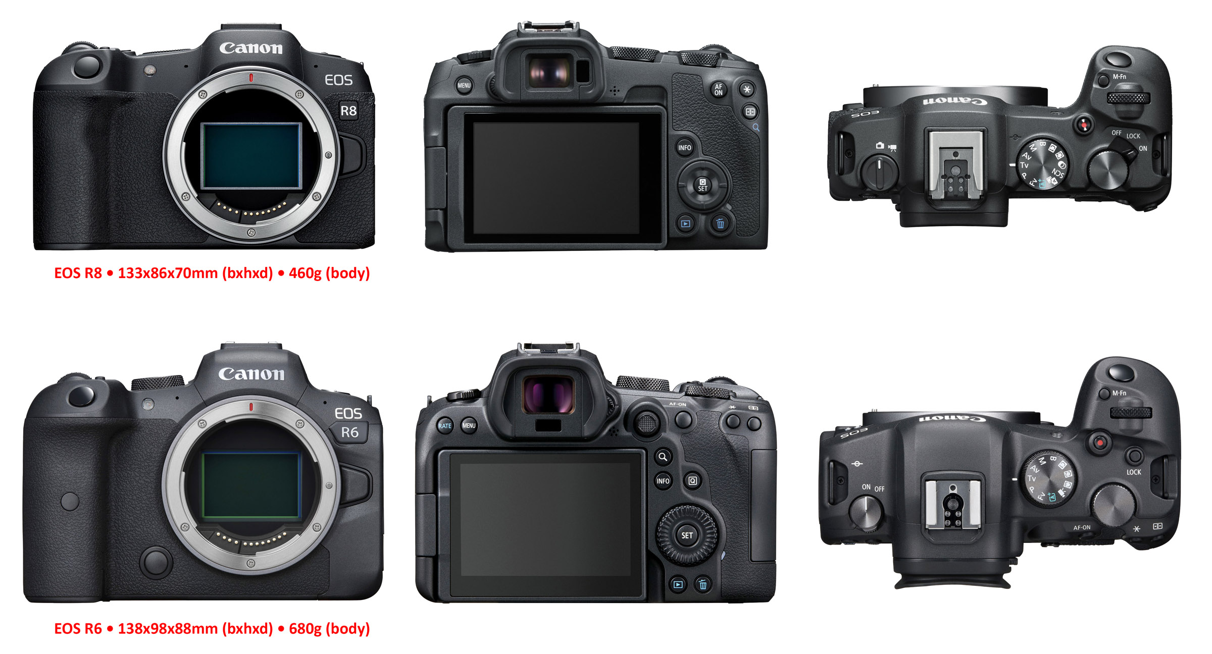 Vergelijking EOS R8 EOS R6