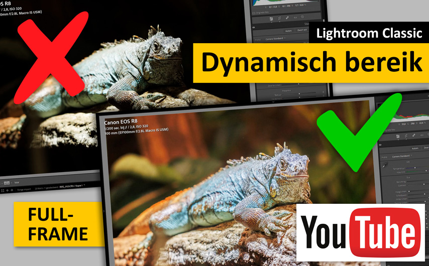 lrc dynamisch bereik full-frame YT