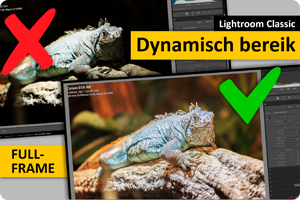 lrc dynamisch bereik full-frame visual.png