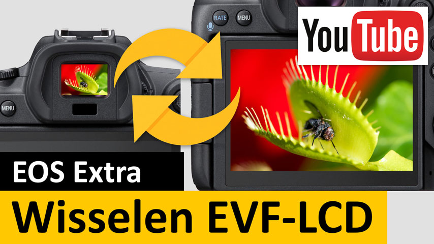 wisselen EVF-LCD YT