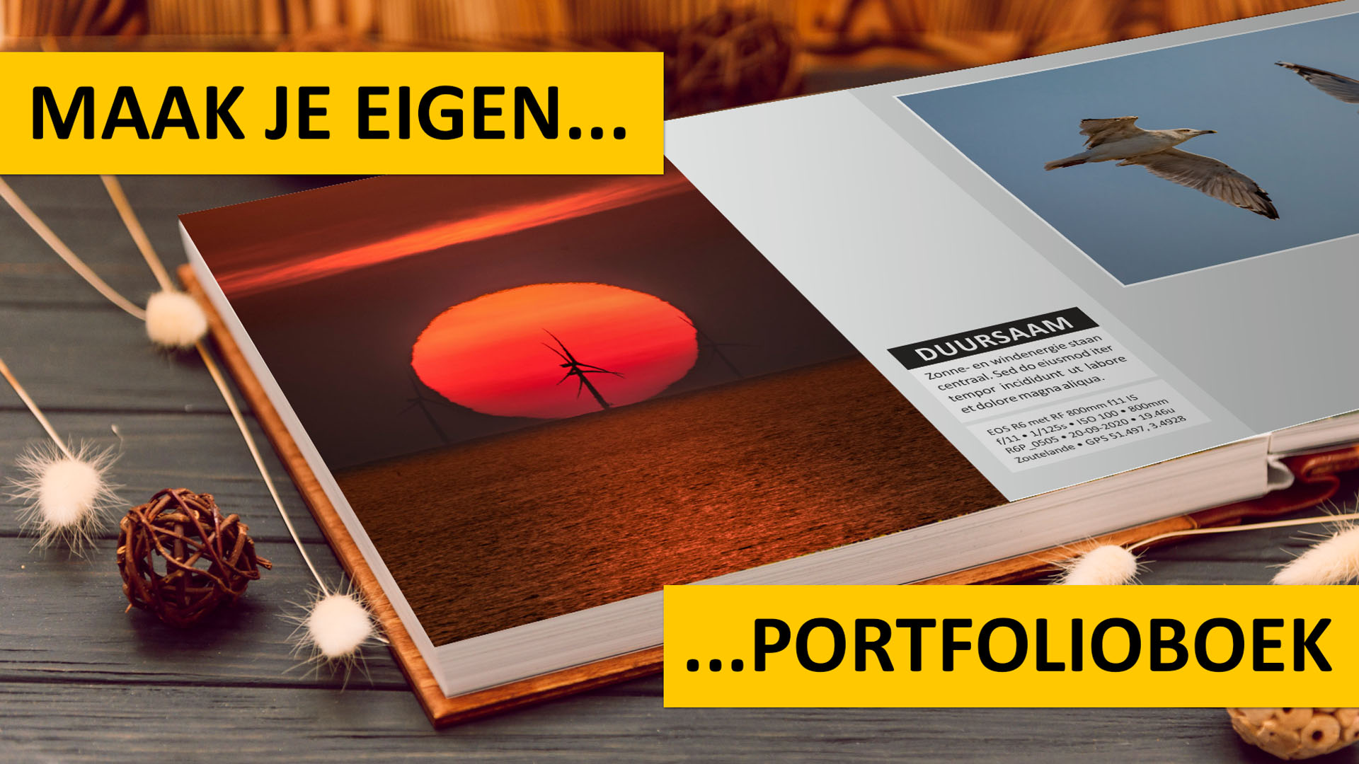 portfolio visual v2