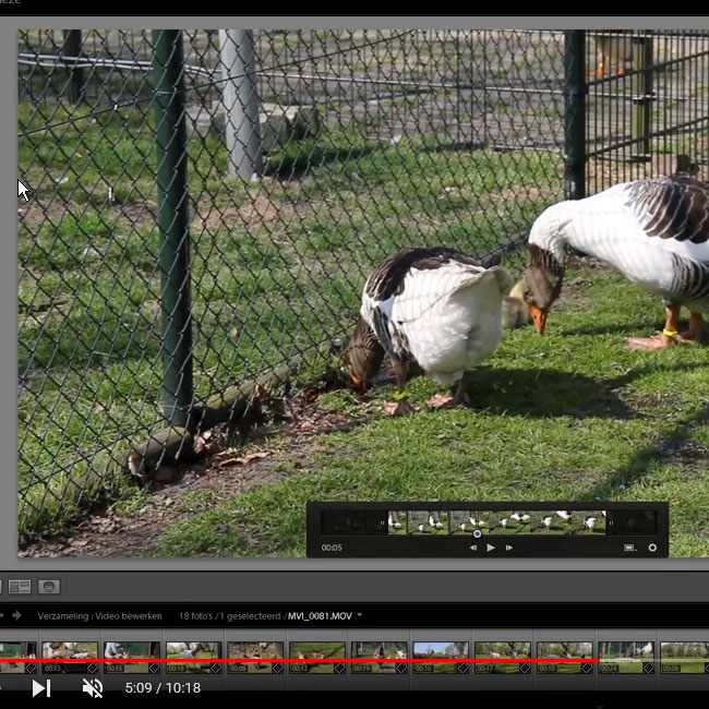 15-lrc-montage