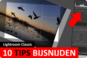 Lightroom Classic | Tips 10 Bijsnijdsgereedschap