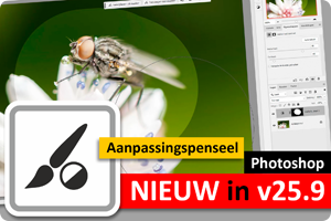 00_aanpassingspenseel.png