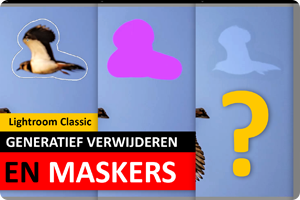 00_LrC Generatief verwijderen en maskers.png