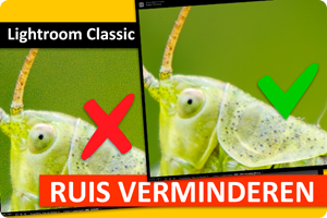 00_LrC Ruis verminderen.png