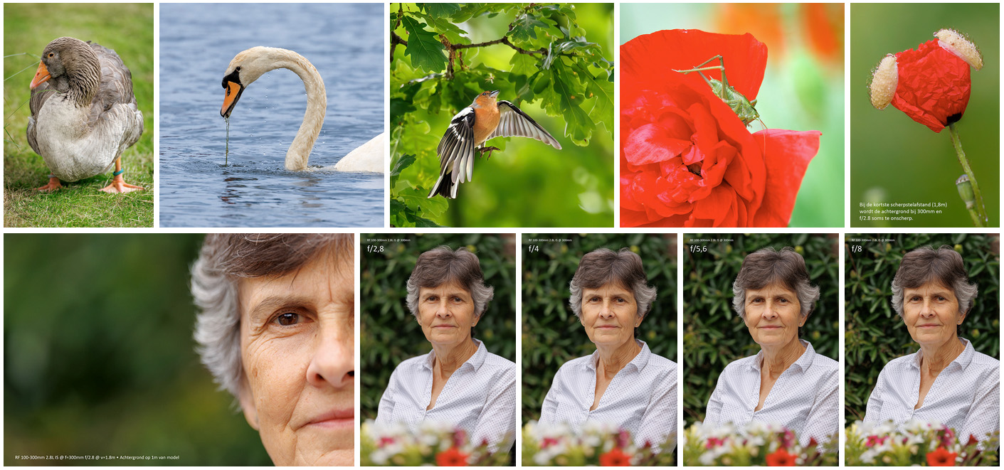portfolio rf 100-300mm