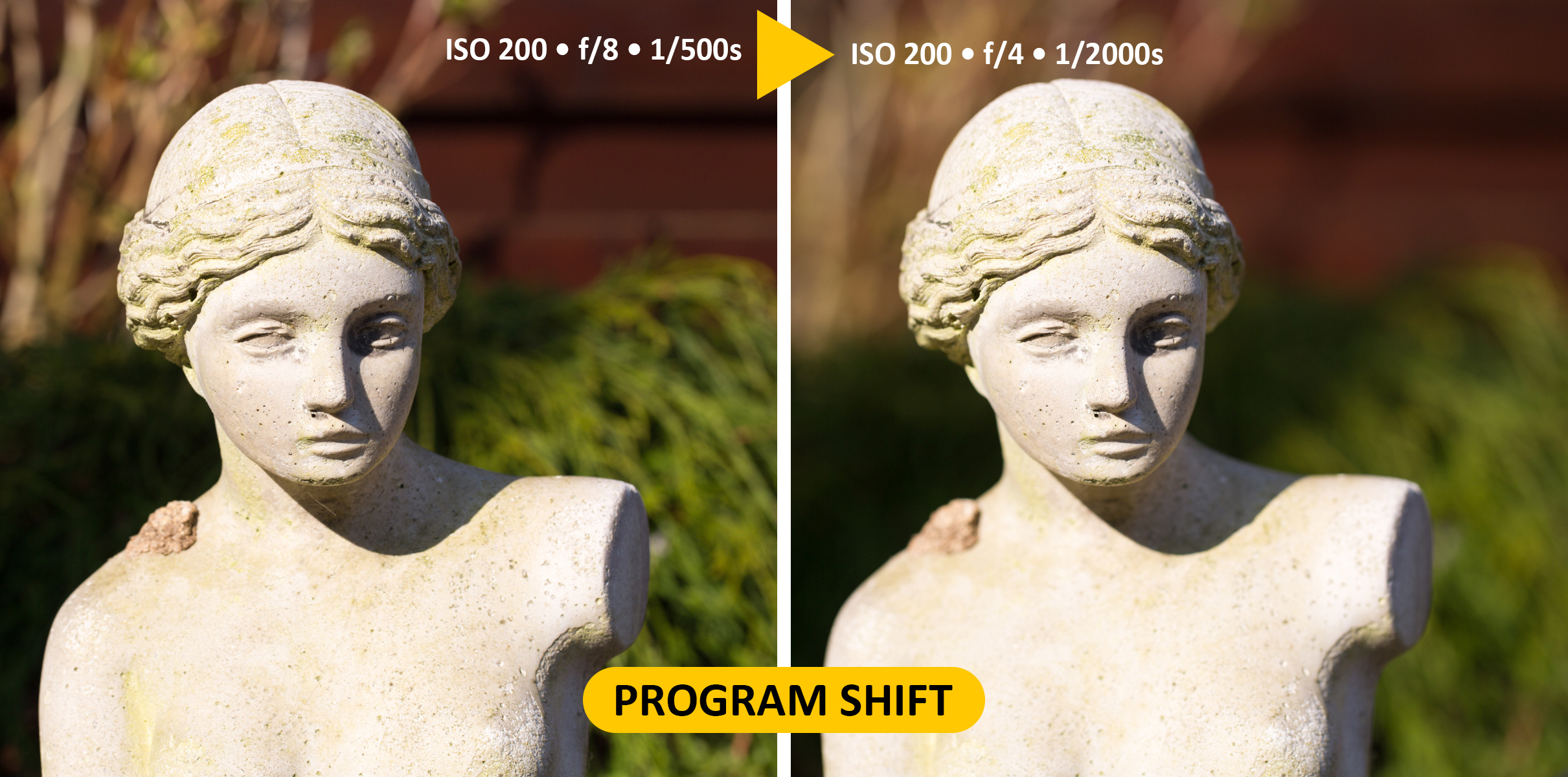 program-shift