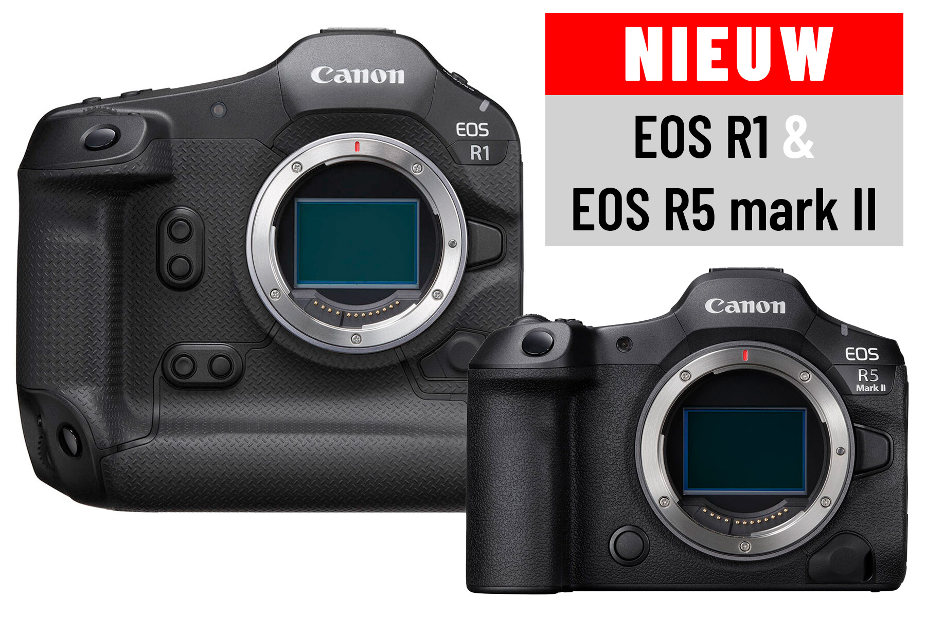 EOS R1 R5II visual