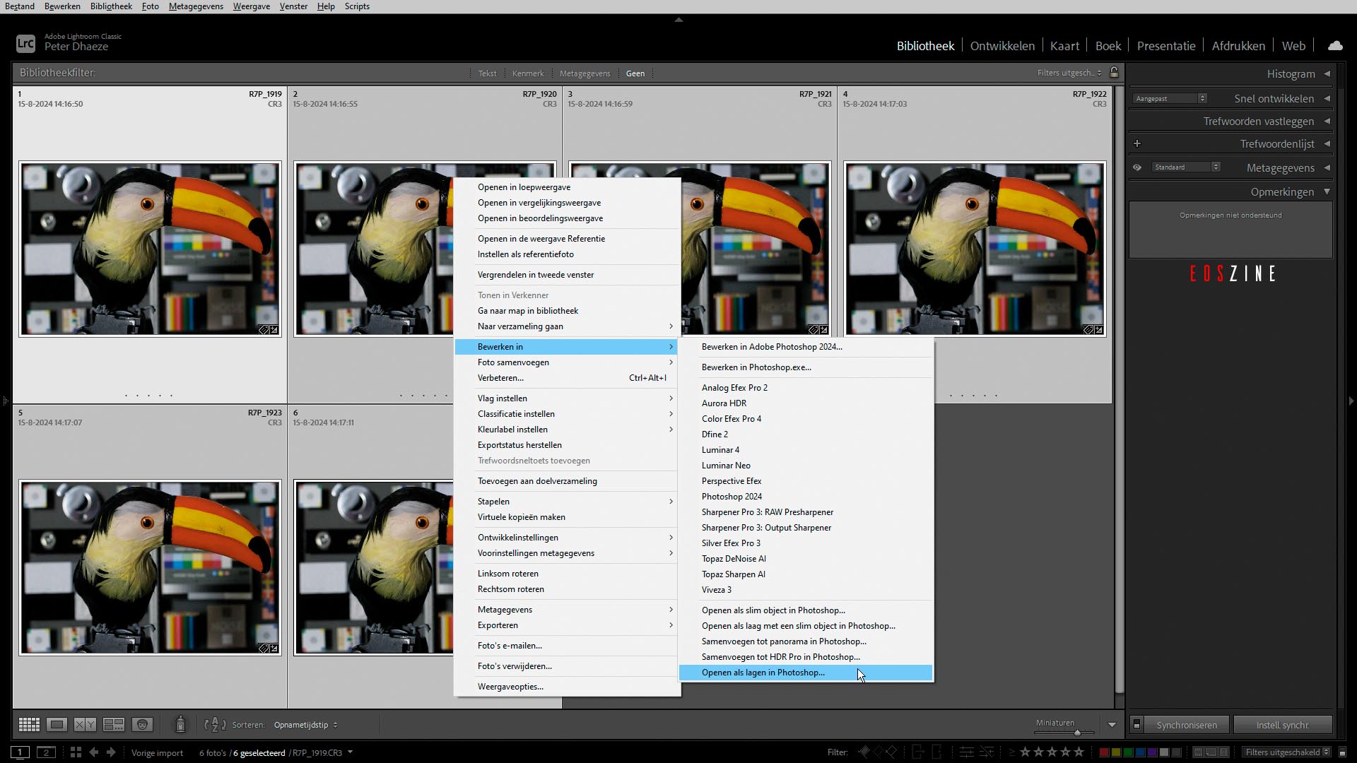 Ruismontage_LRC_01