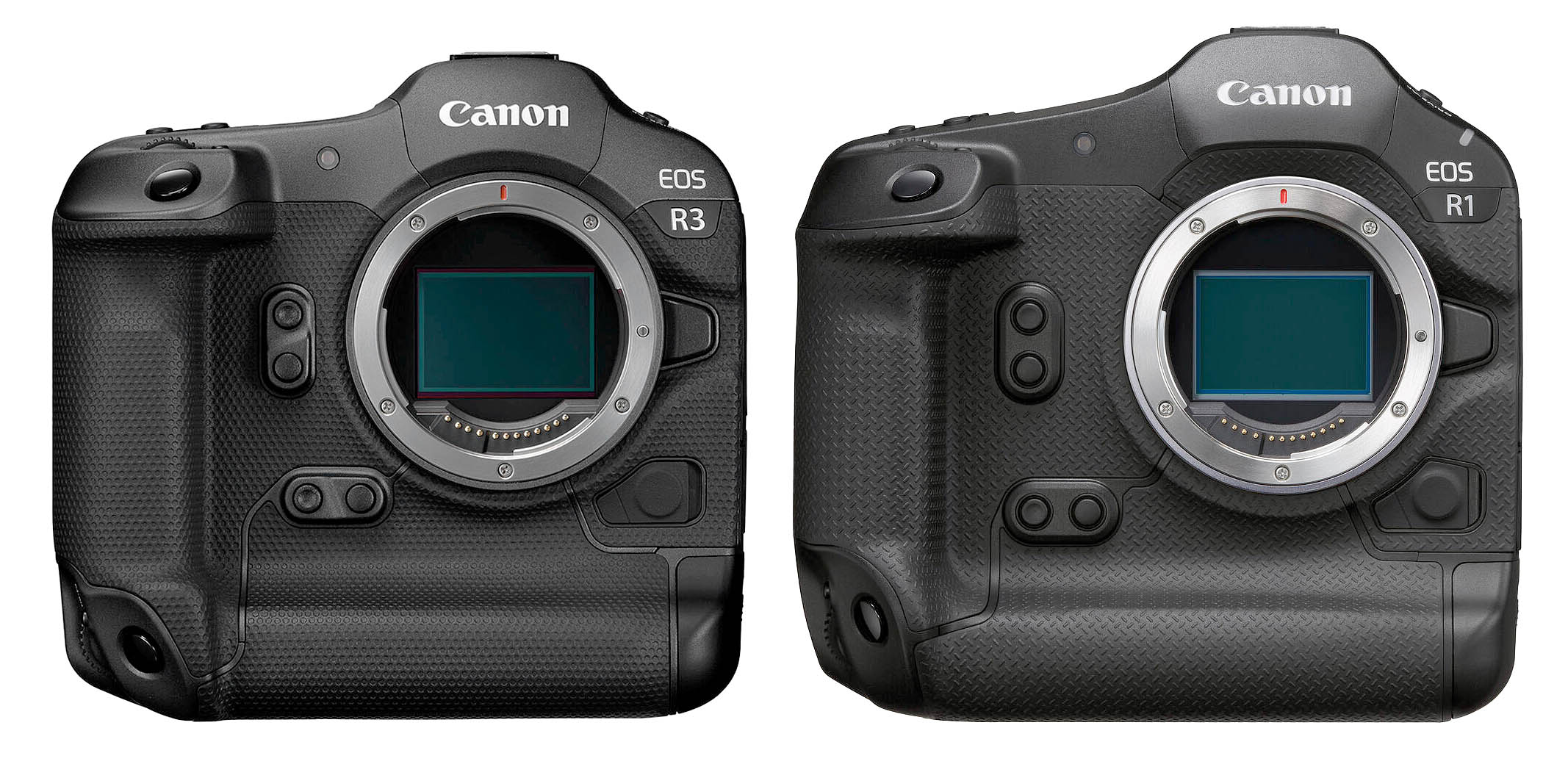 EOS R3 R1
