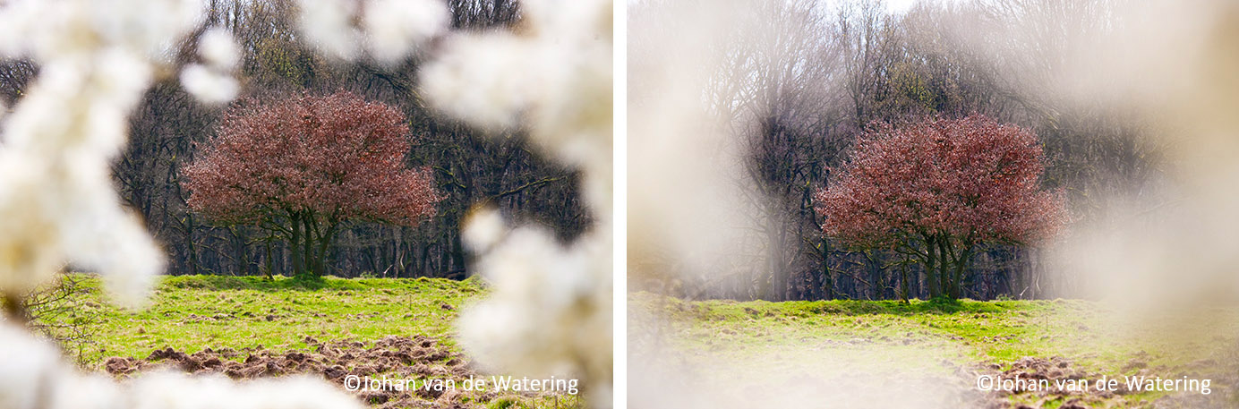 voorgrondbokeh