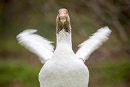 02-5D3_1142-189px